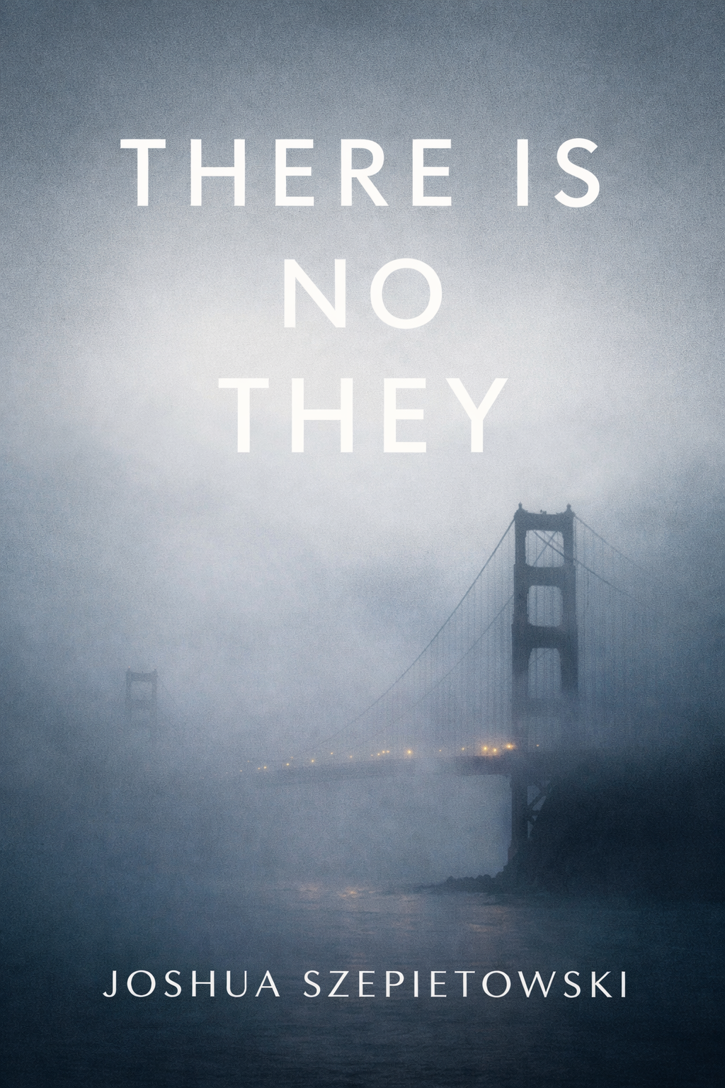 Cover for There Is No They